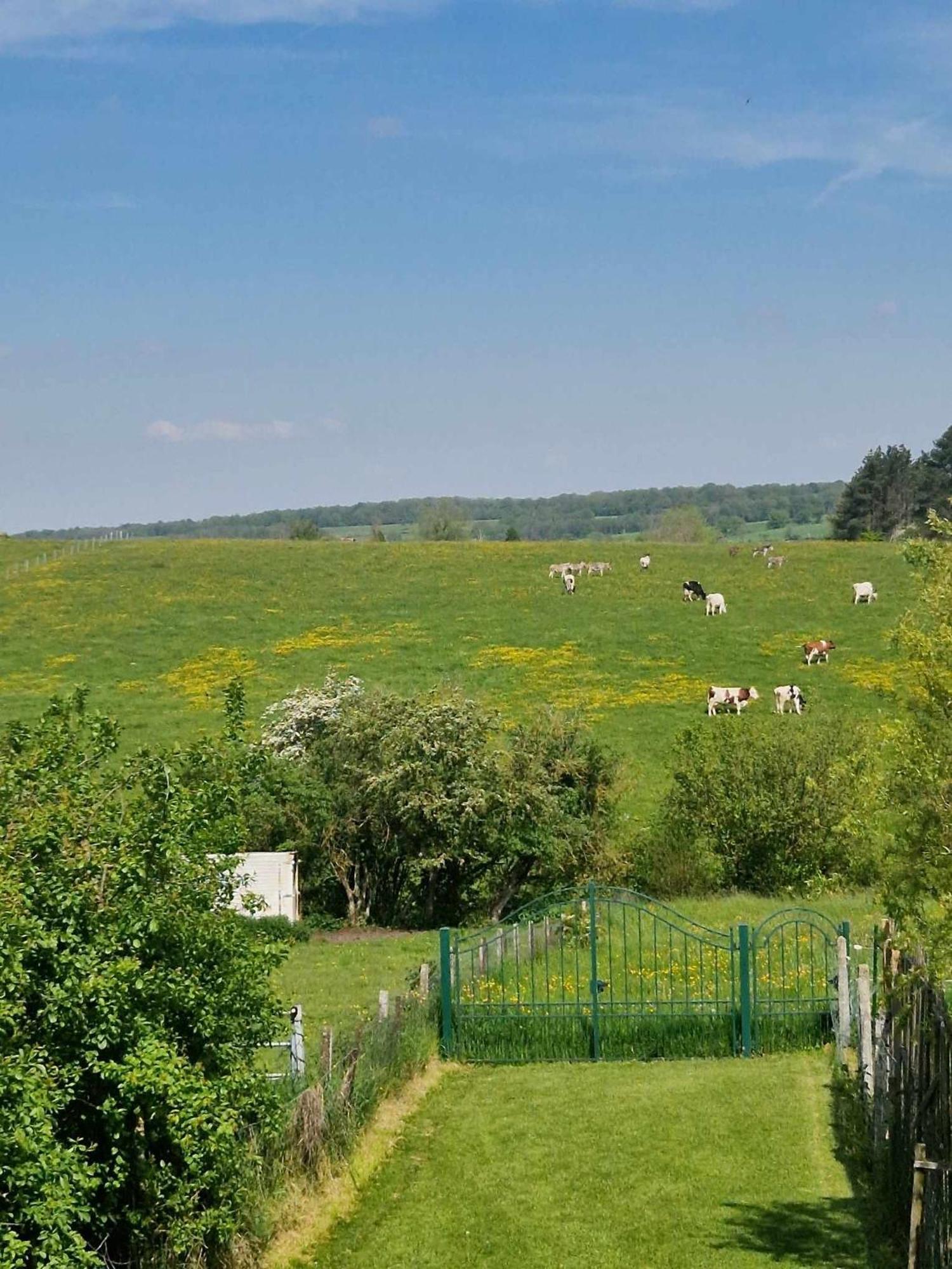 Paille-foin * Cerfontaine